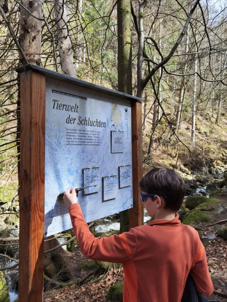 Buchberger Leite Wanderung mit Kindern - unterwegs gibt es Wissen über die Schlucht