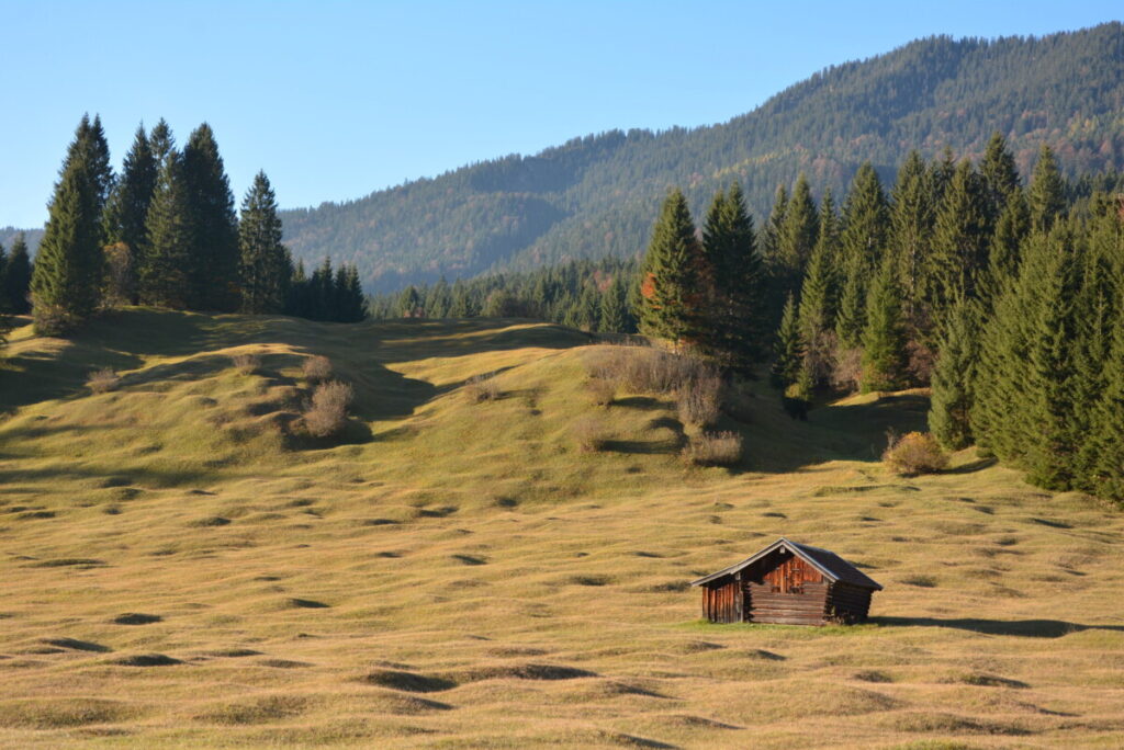 Die Buckelwiesen im Herbst