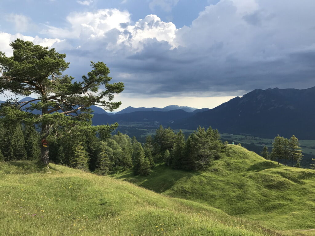 Durch die weitläufigen Buckelwiesen Mittenwald wandern