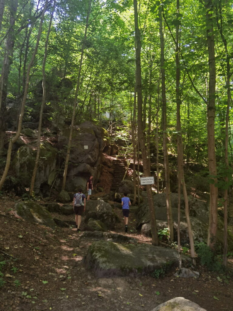 Burg Falkenstein wandern