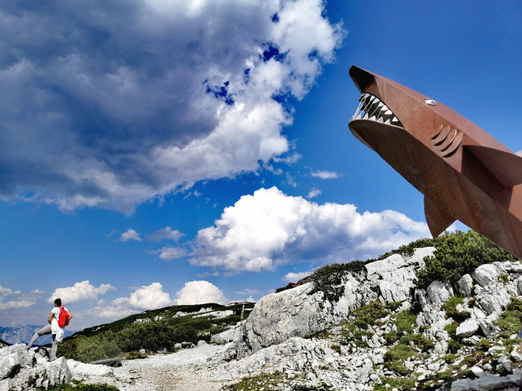 Besuch beim Dachstein Hai