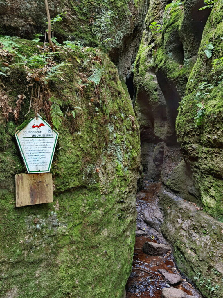 Drachenschlucht mit Kindern