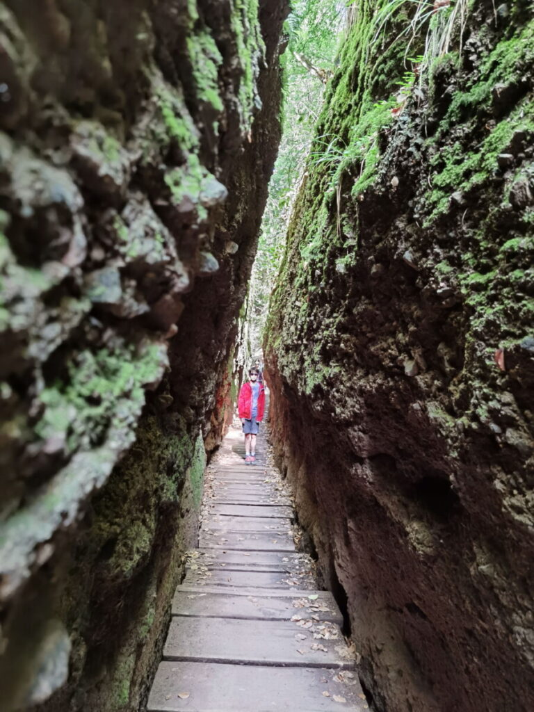 Die Drachenschlucht ist ein Erlebnis für Kinder