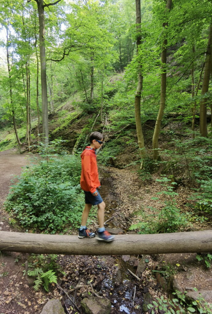 Mit viel Abenteuer durch die Drachenschlucht wandern mit Kindern