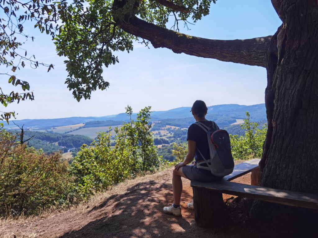 Ausblick oberhalb der Drachenschlucht beim Großen Drachenstein