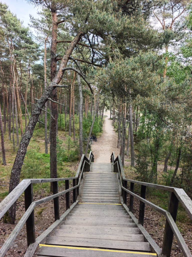 Düne Kurische Nehrung