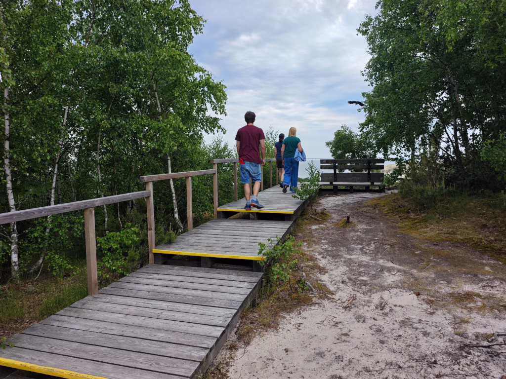 Düne Kurische Nehrung