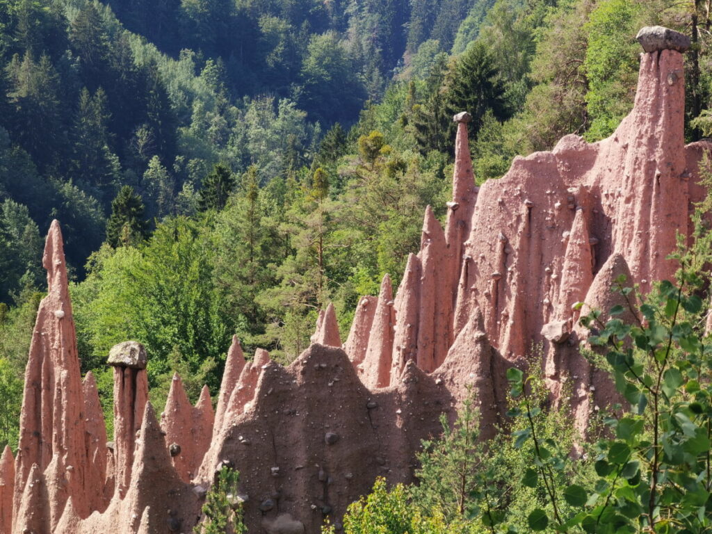 Erdpyramiden Ritten