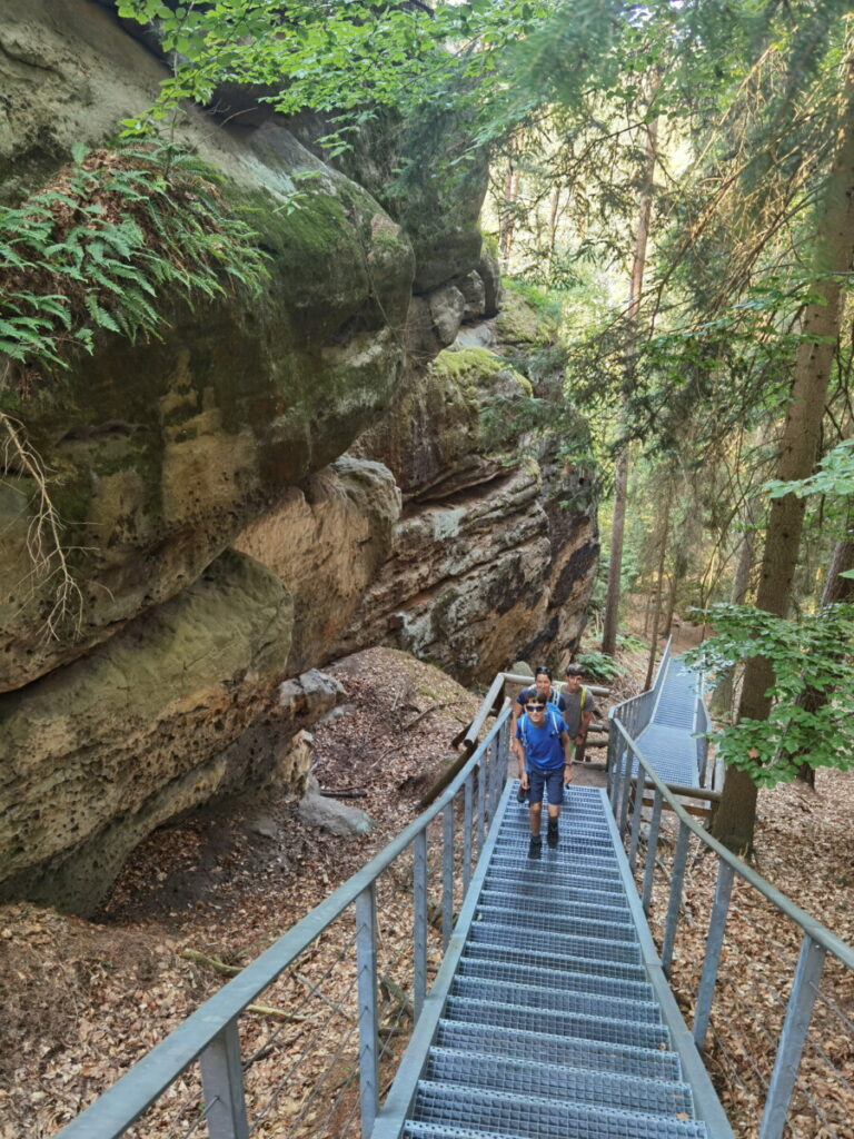 Böhmische Schweiz - Aufstieg über Leitern zur Felsenburg Falkenstein