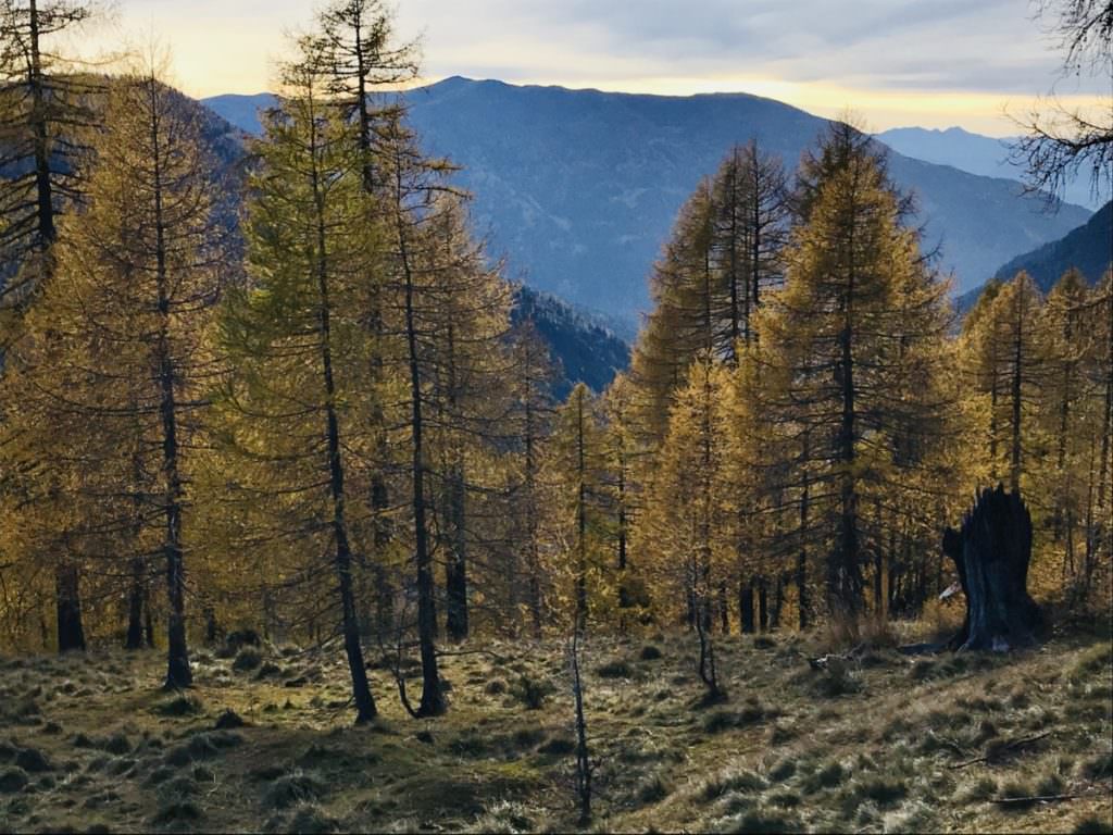 So schöner Herbst erwartet und im Familienhotel Bad Kleinkirchheim