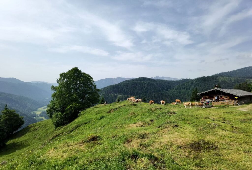 Vom Familienhotel Bayrischzell zur Neuhüttenalm wandern - Zwischenstation auf dem Seebergkopf