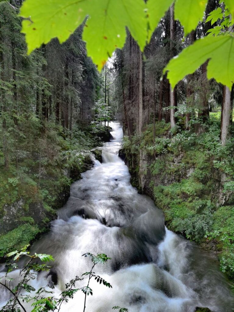 Lohnt sich! Vom Familienhotel Kleinwalsertal hinaus in die Natur an den Schwarzwasserbach