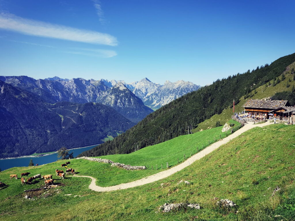 Familienurlaub Achensee auf der Dalfazalm, mit Seeblick