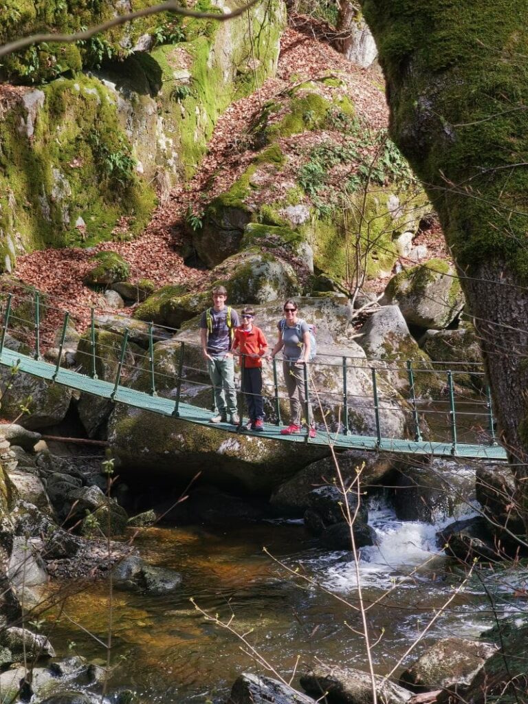 Empfehlenswert im Familienurlaub Bayerischer Wald - die Wanderung über die Hängebrücke in der Buchberger Leite