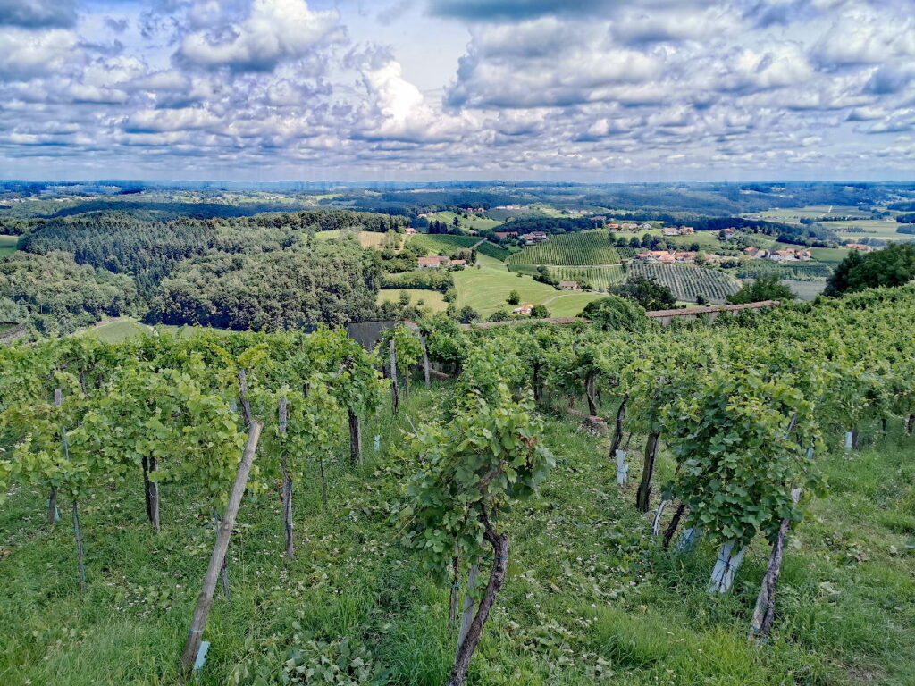 Familienurlaub Steiermark - zwischen den Weinbergen und dem hügeligen Land