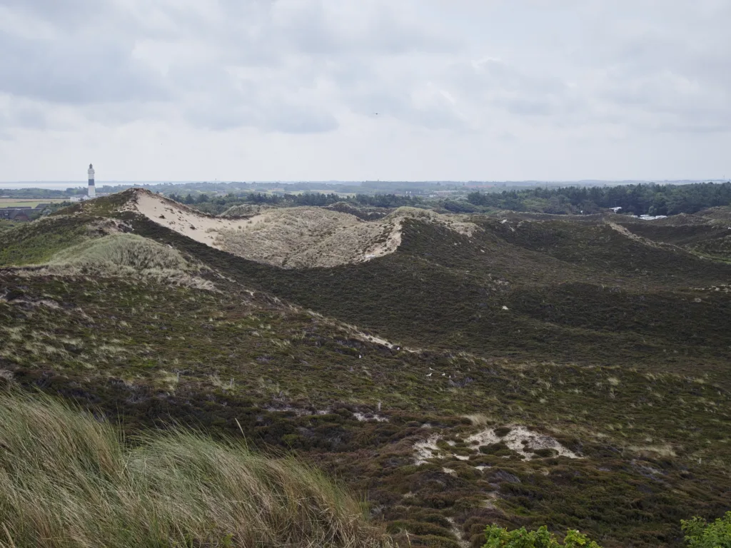 Ausblick von der Uwe Düne - hinten link der Leuchtturm Langer Christian
