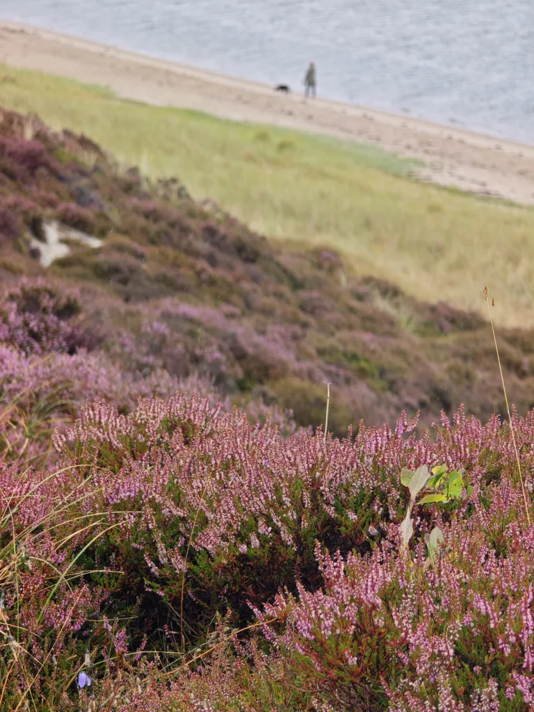 Sylt mit Kindern