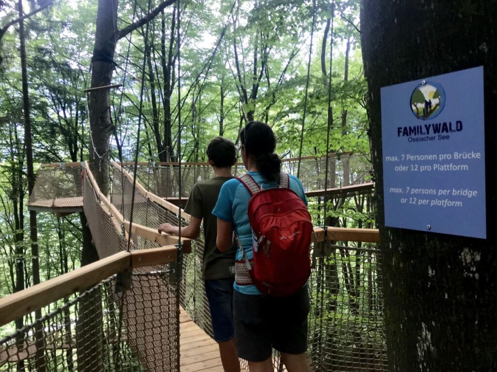 Herzstück im Familywald Ossiacher See - der Baumkronenweg im Buchenwald