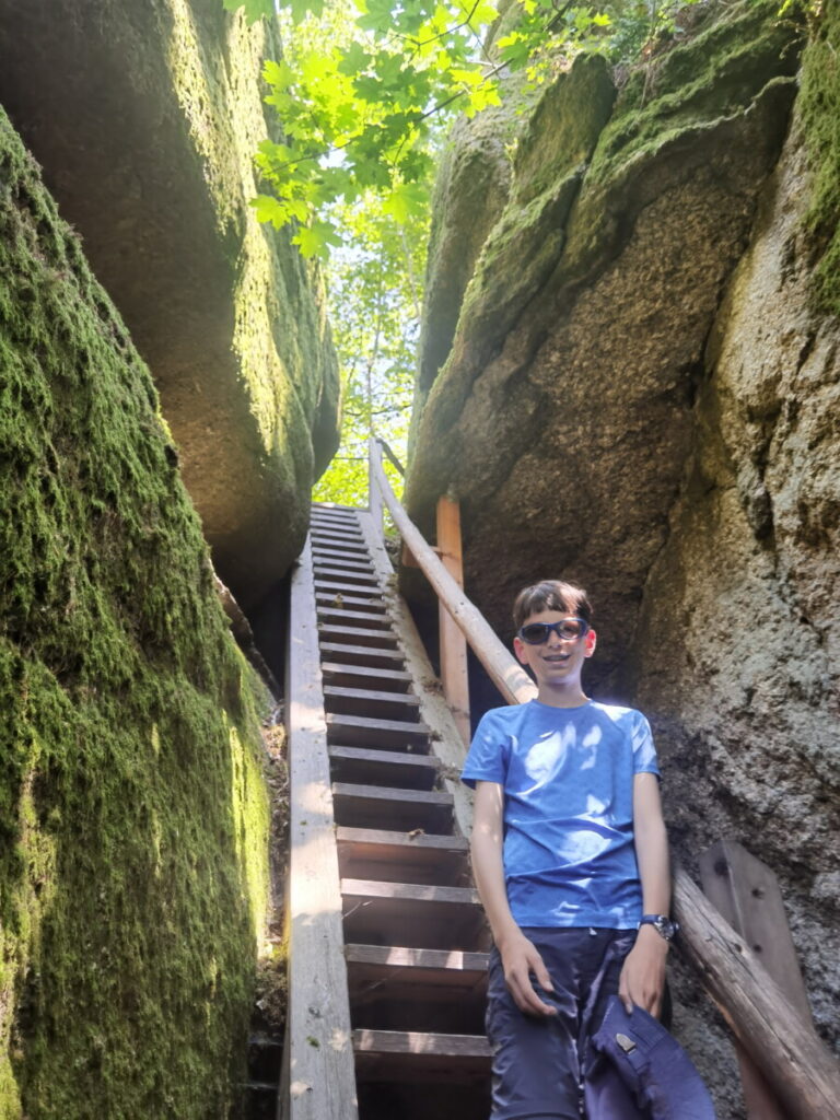 Highlight im Felsenpark Falkenstein: Die Himmelsleiter