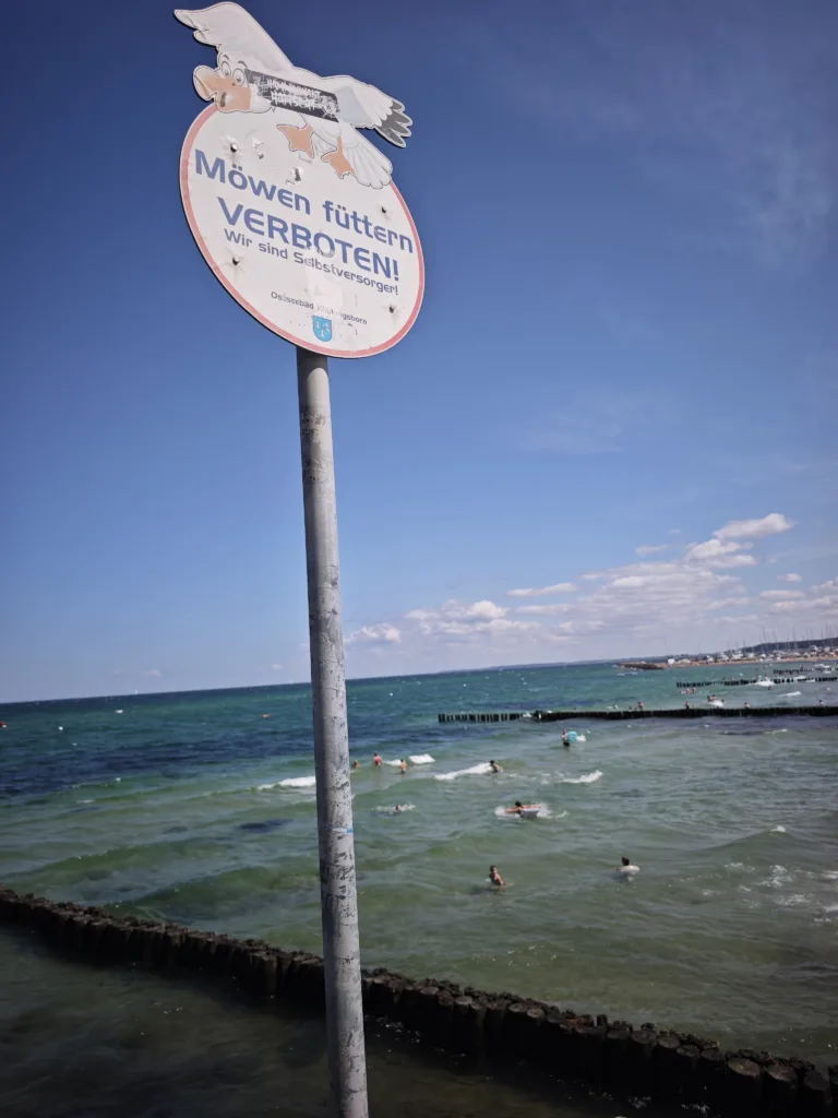 An der Seebrücke in Kühlungsborn