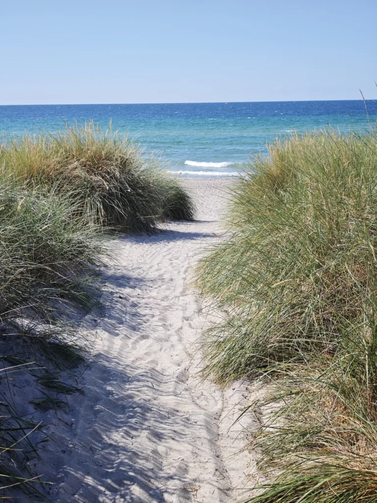 Unser Tipp für einen Familienurlaub an der Ostsee - Der Familienhof Miller