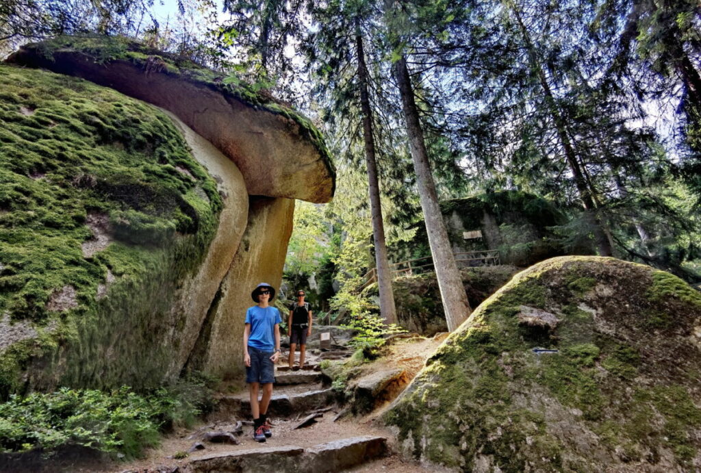 Typisch für das Fichtelgebirge: Wald und Felsen. Uns hat diese wildromantische Landschaft in den Bann gezogen