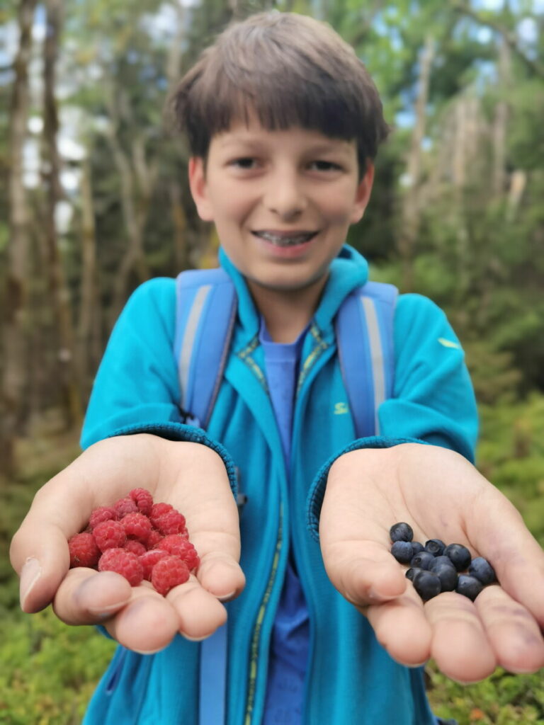 Naturidylle im Fichtelgebirge mit Kindern - wir haben am Wanderweg Blaubeeren und Himbeeren gesammelt