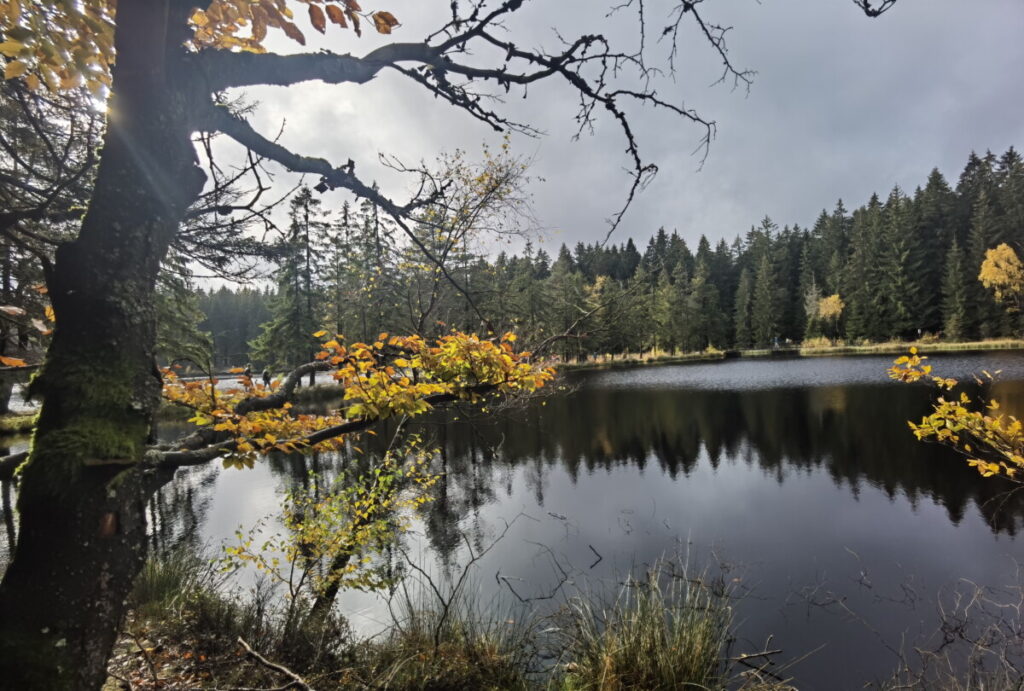 Leicht und entspannt im Fichtelgebirge wandern: Einmal rund um den Fichtelsee