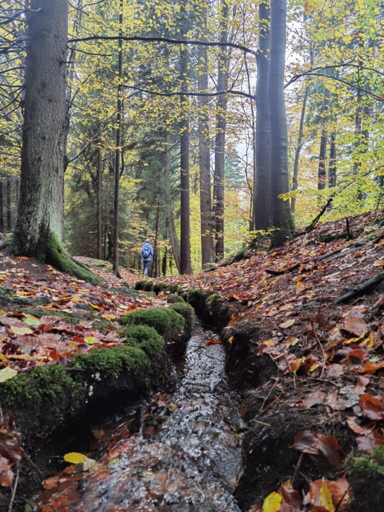 Durch das herbstliche Fichtelgebirge wandern