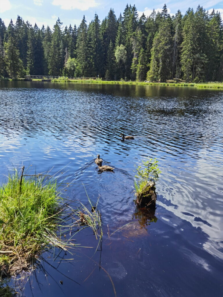 Fichtelsee mit Kindern