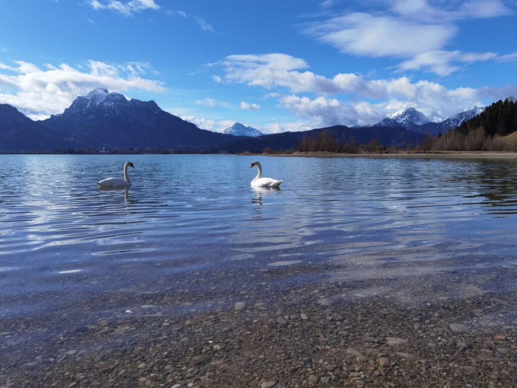 Ausflug in Füssen mit Kindern an den Forggensee