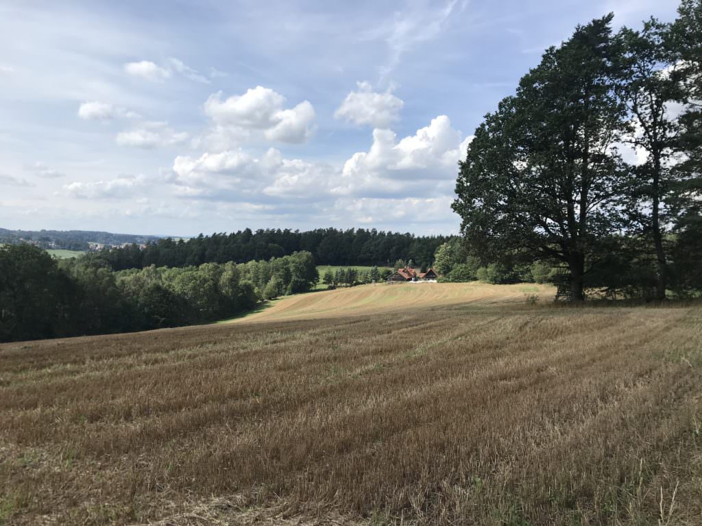 Franken wandern mit Kindern - vorbei an Wald und Wiesen