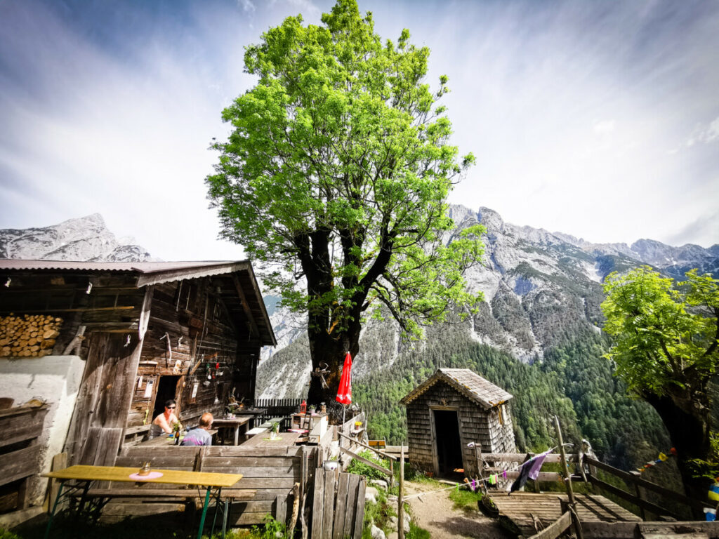 Zur Ganalm in Tirol wandern mit Kinderwagen