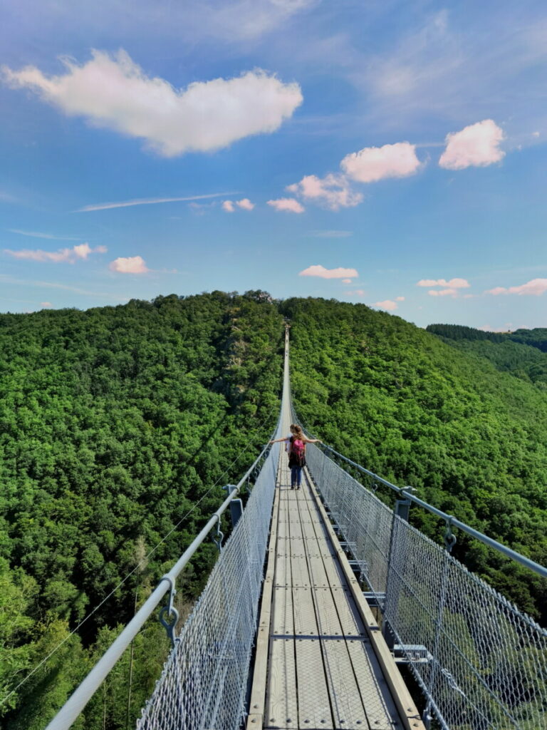 Geierlay Brücke wandern