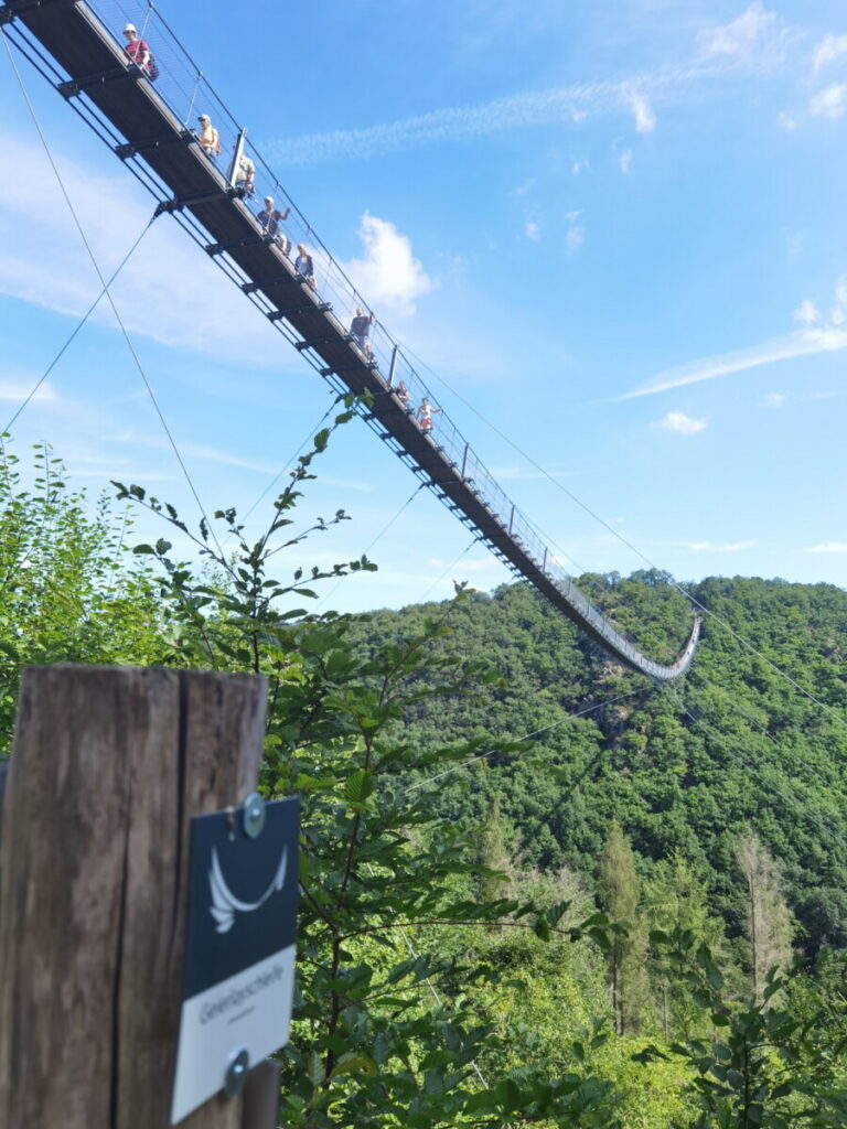 Blick über die Geierlay Hängebrücke - sie überspannt das waldreiche Tal