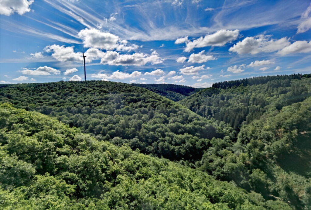 Ausblick von der Geierlay Hängebrücke