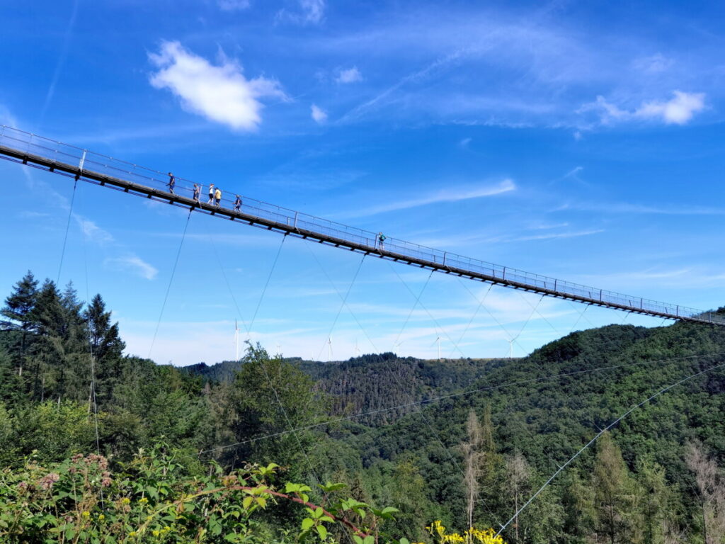 Der Vorteil der Geierlayschleife: Du siehst die Hängeseilbrücke aus verschiedenen Perspektiven