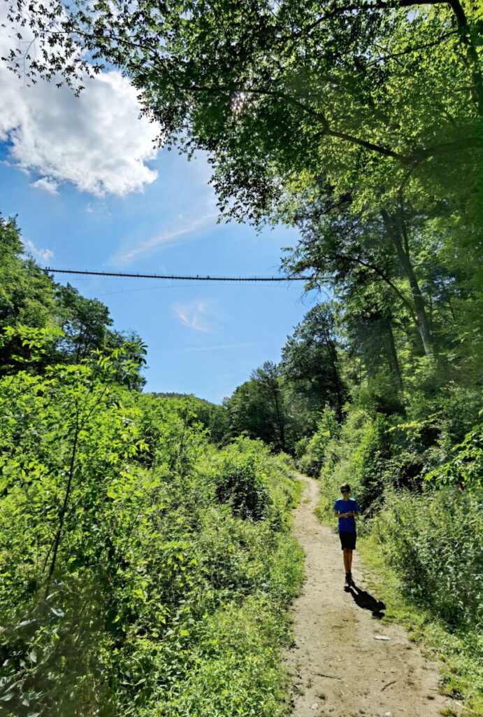 Geierlayschleife Wanderung