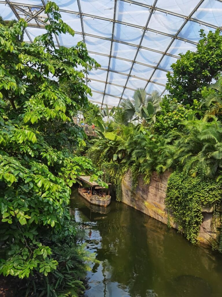 Das  Gondwanaland in Leipzig mit Kindern - Tropenwald unter dem Glasdach