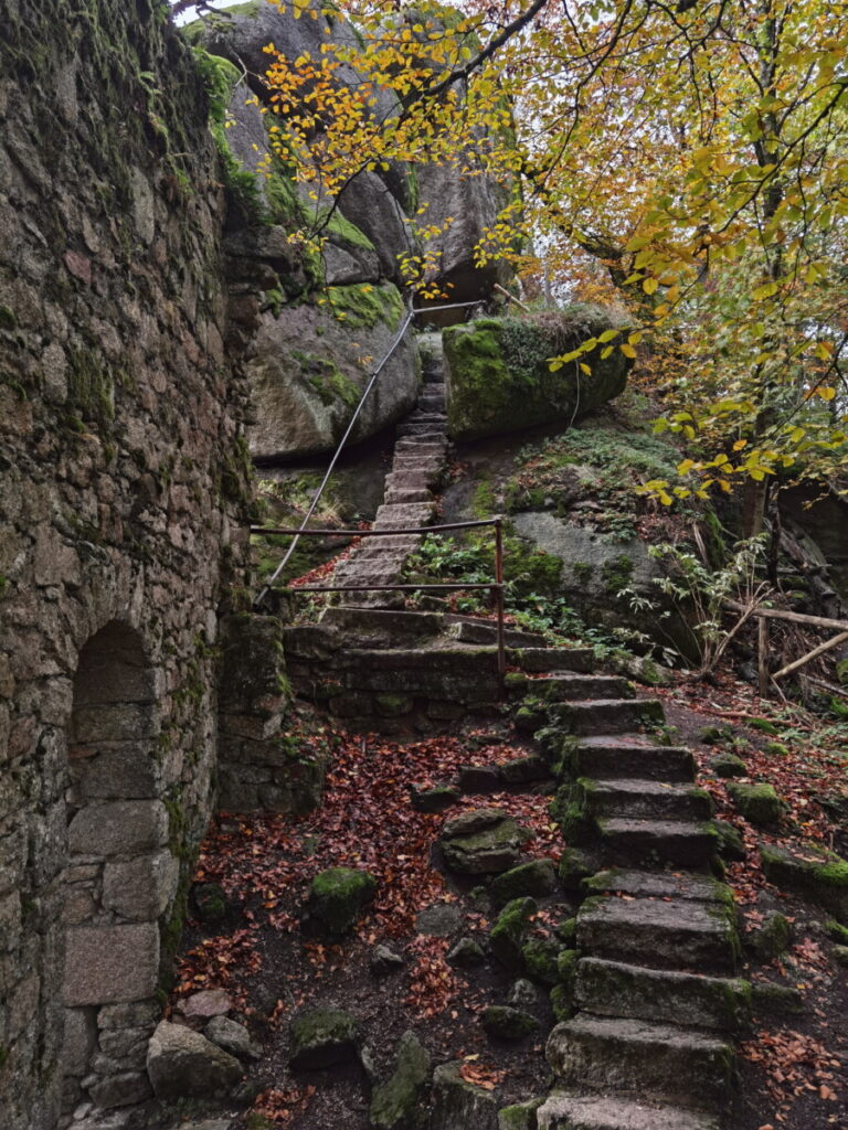 Großer Waldstein Aufstieg von der ehemaligen Kapelle der Burg