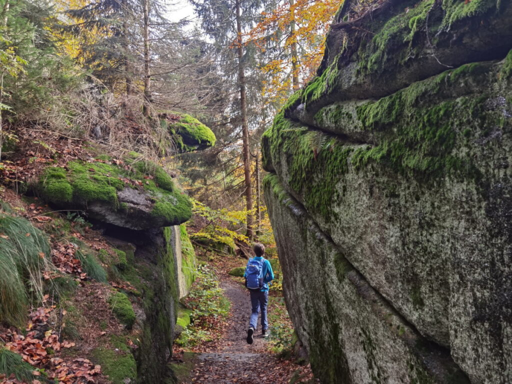 Eine empfehlenswerte Wanderung mit Kindern im Fichtelgebirge