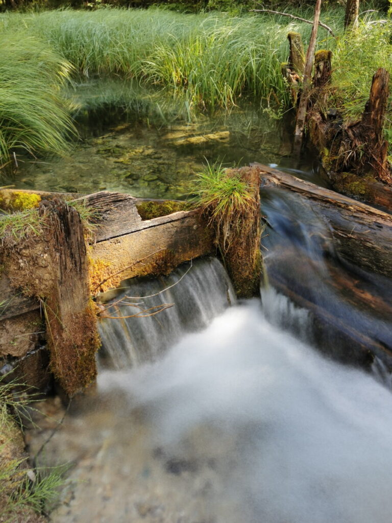 Grüner See Österreich