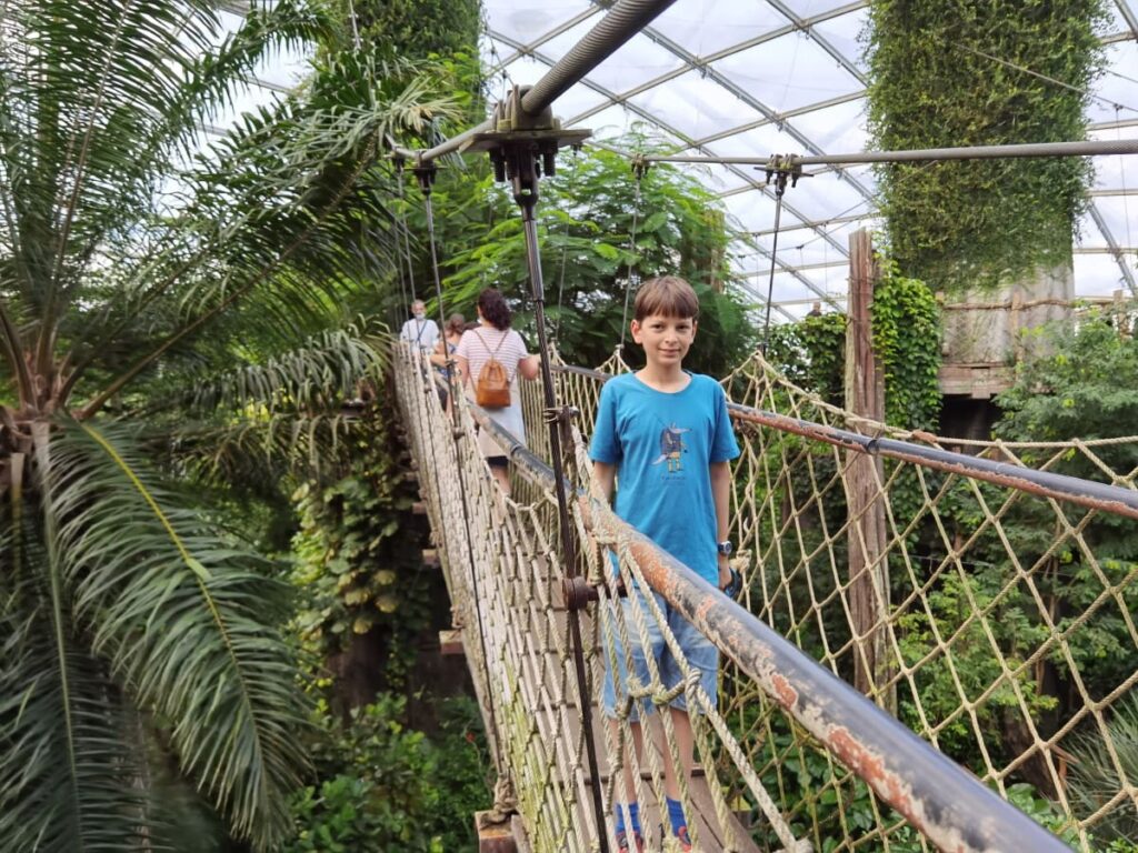 Spannend in Leipzig mit Kindern - über den Hängebrückenweg im Zoo spazieren