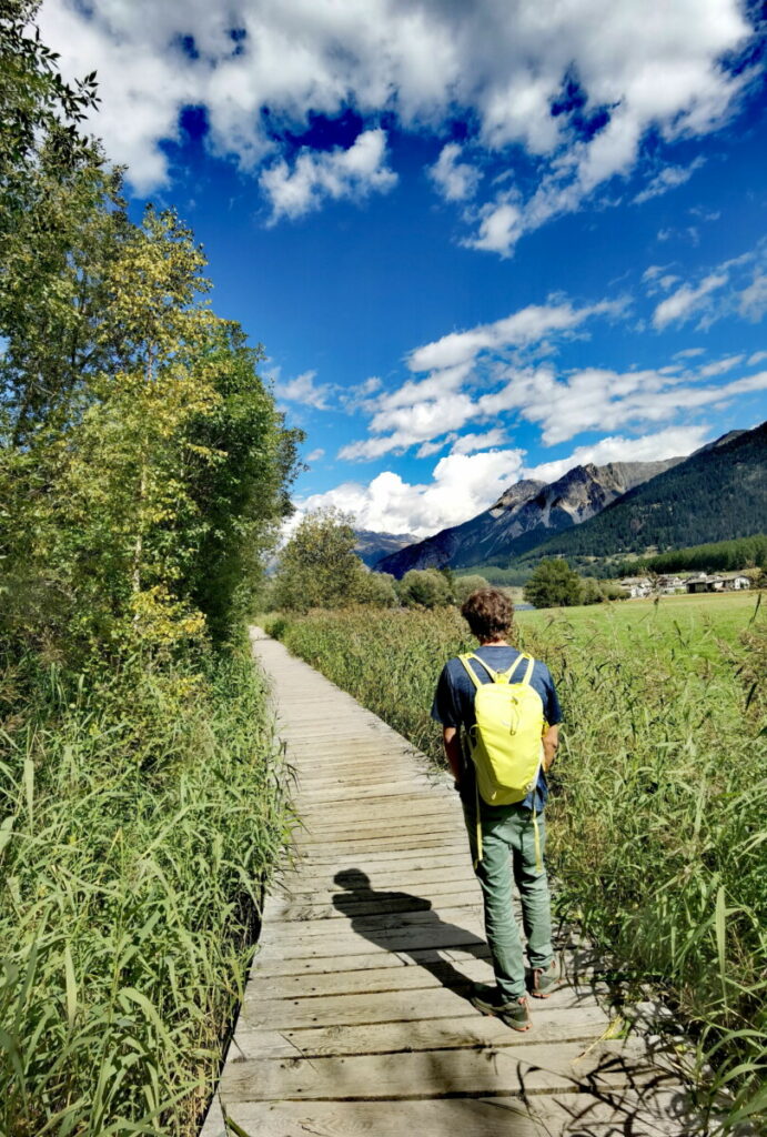 Durch das Moor am Haidersee führt ein Holzbohlenweg