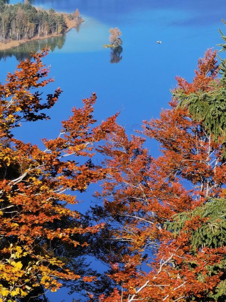 Atemberaubender Blick auf die kleine Insel im Walchsee