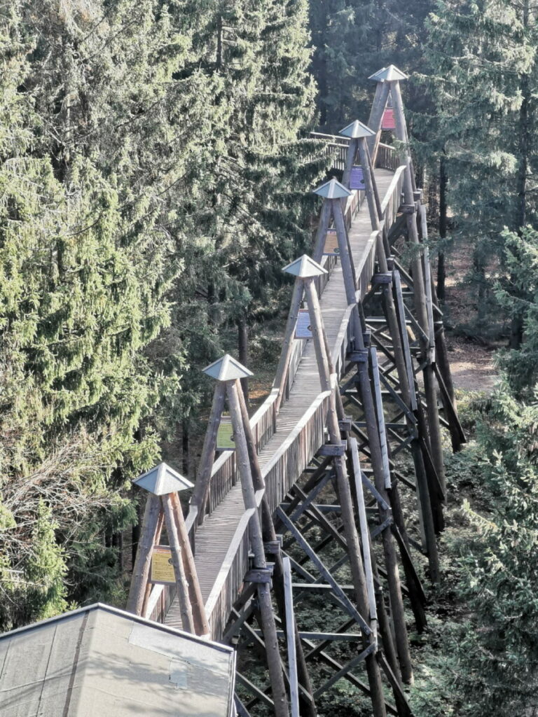 Geht auch als Ausflugsziel für einen Tag im Herbsturlaub mit Kindern - der Baumkronenweg