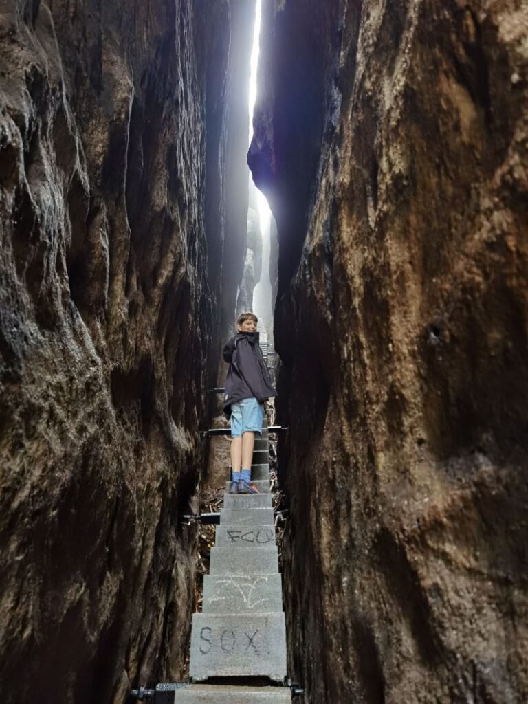 Erlebnis Sächsische Schweiz mit Kindern: Die schmale Himmelsleiter zwischen den meterhohen Felsen