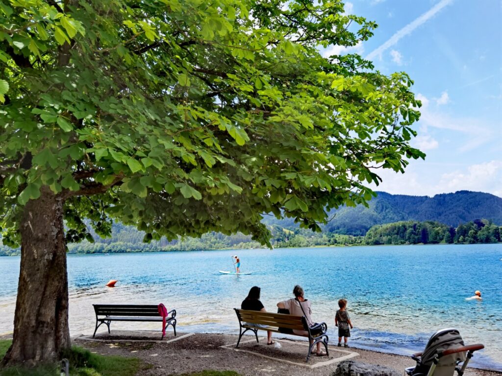 Hitze Ausflug an zwei Bergseen - der Schliersee und der Spitzingsee liegen nur 5 Kilometer voneinander entfernt