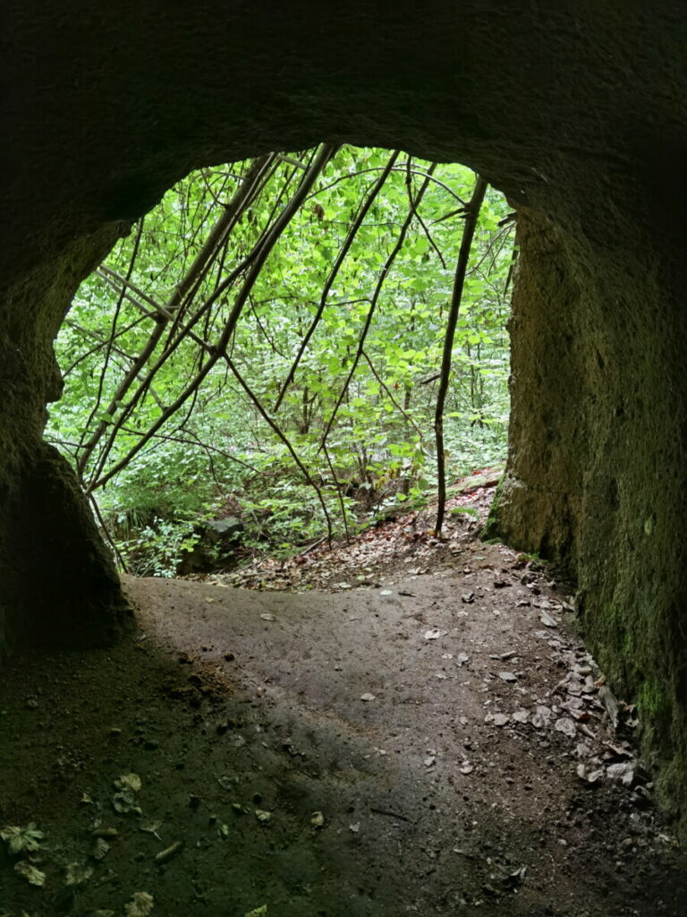 Siebengebirge wandern mit Kindern