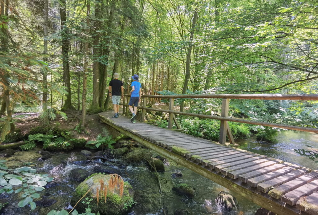 Höllbachtal Wanderung - wildromantische leichte Wanderung durch die Bachlandschaft